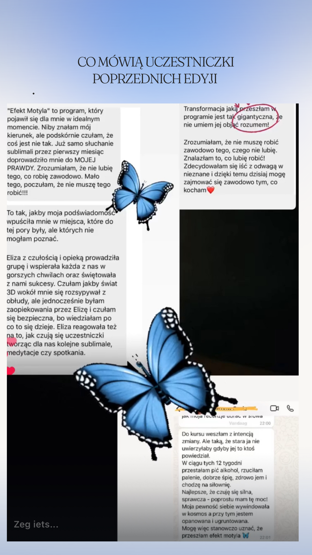 EFEKT MOTYLA- SREBRNY MOTYL - obrazek 9