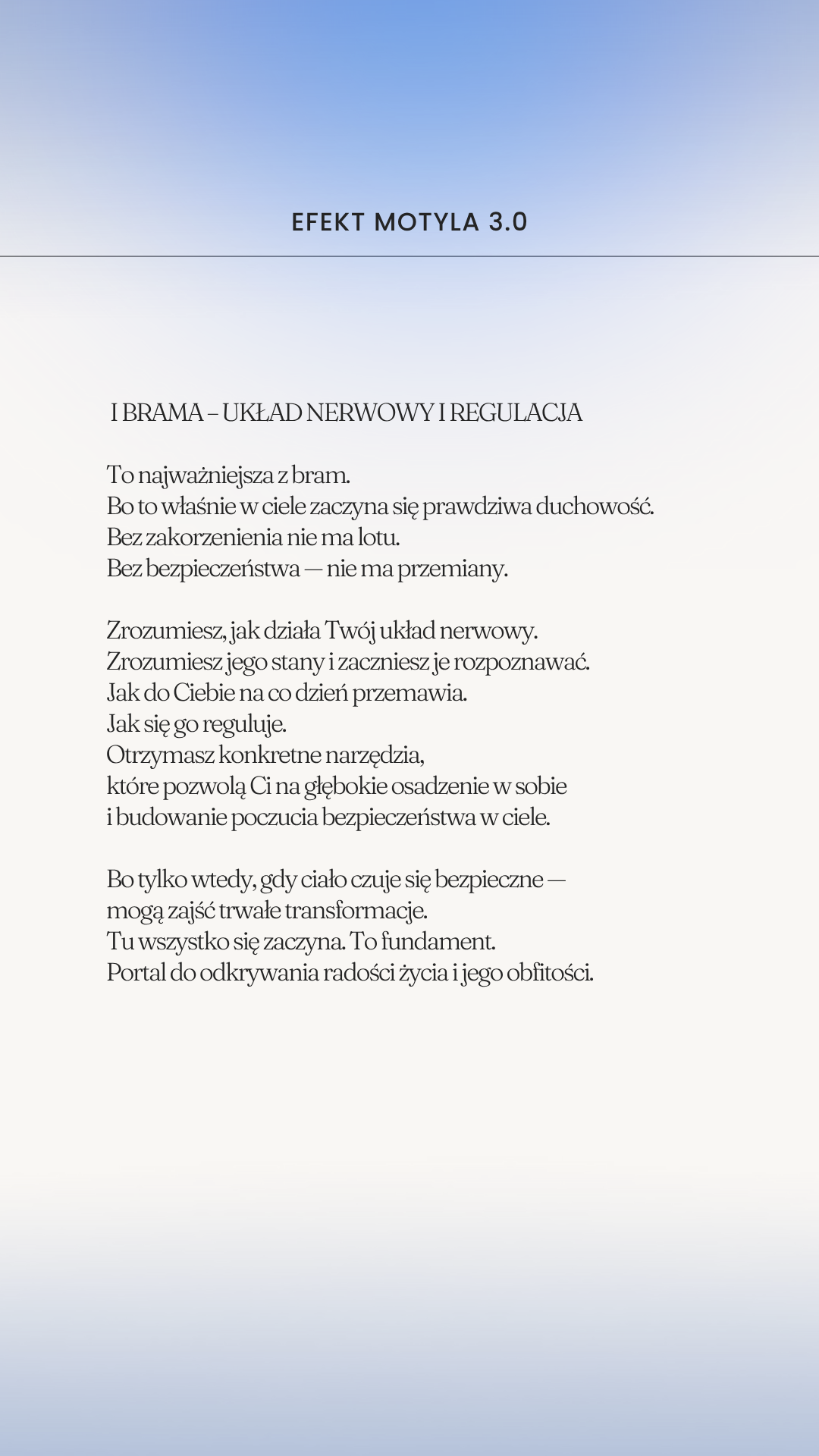 EFEKT MOTYLA- SREBRNY MOTYL - obrazek 11