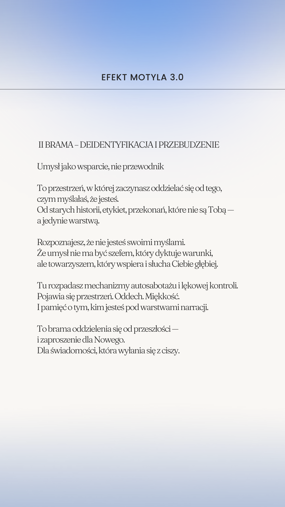 EFEKT MOTYLA- SREBRNY MOTYL - obrazek 12