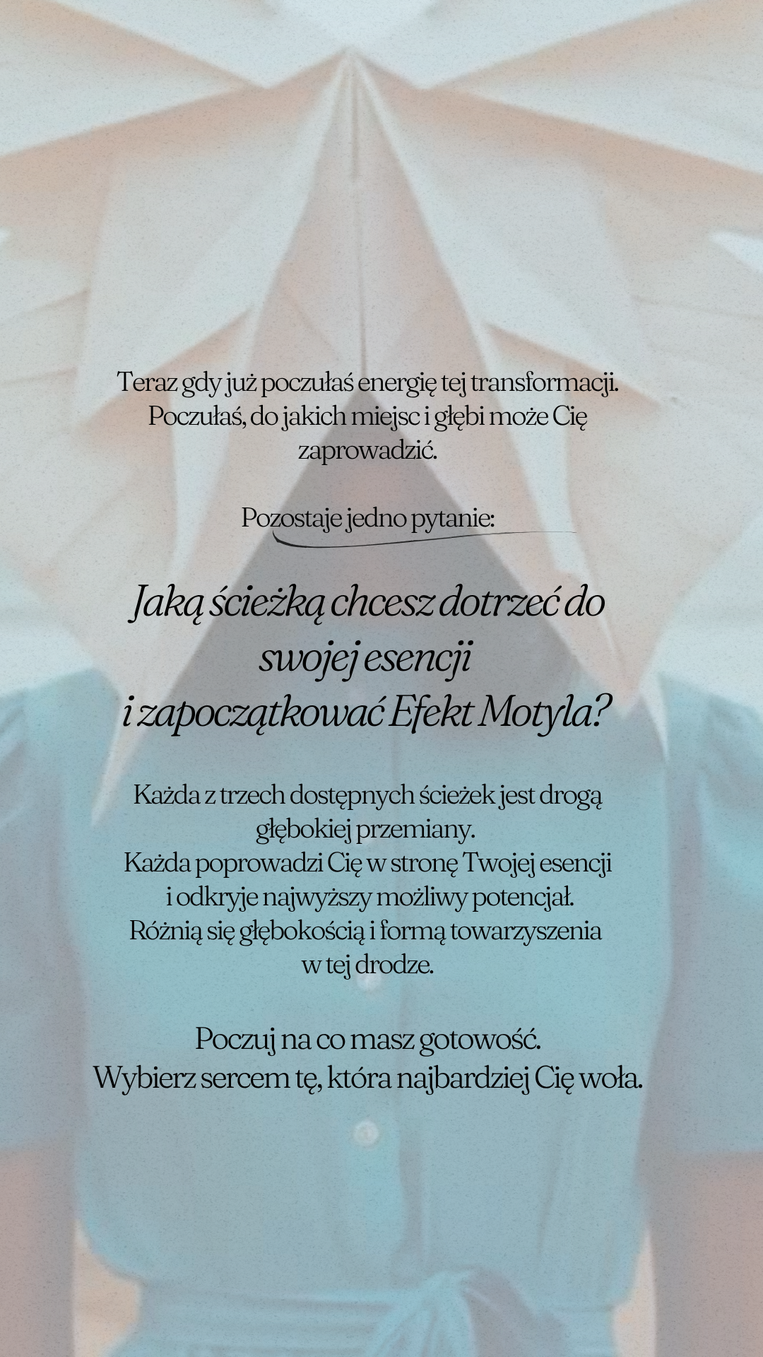 EFEKT MOTYLA- SREBRNY MOTYL - obrazek 16