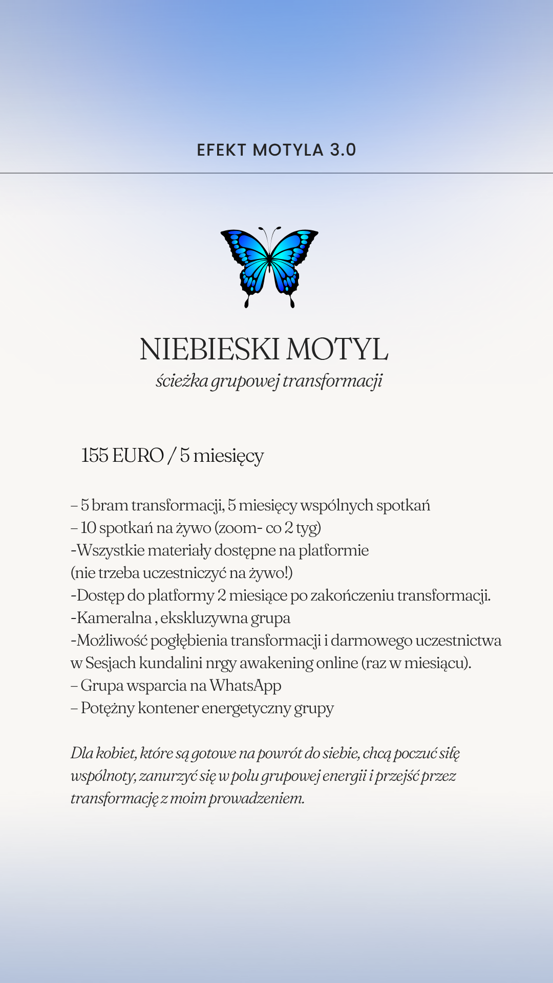 EFEKT MOTYLA- SREBRNY MOTYL - obrazek 17