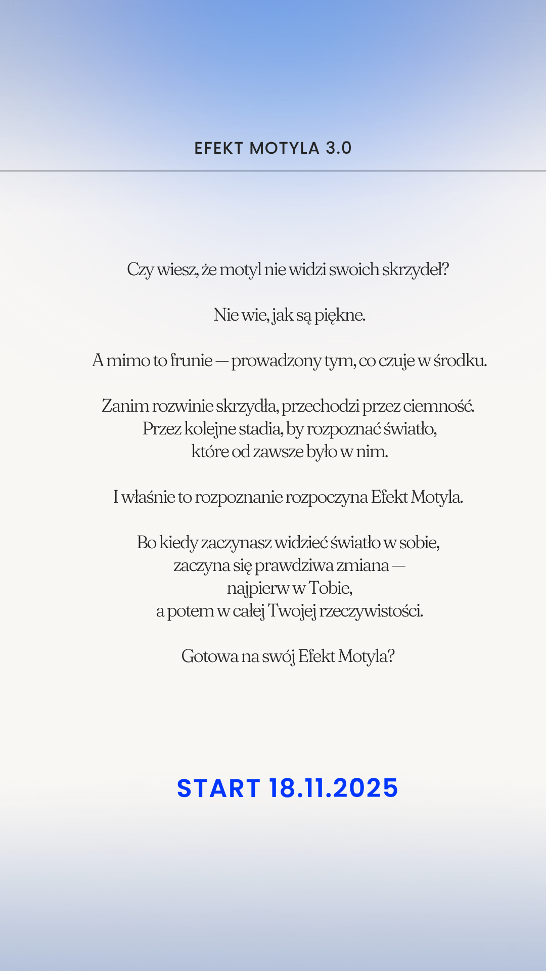 EFEKT MOTYLA- SREBRNY MOTYL - obrazek 20