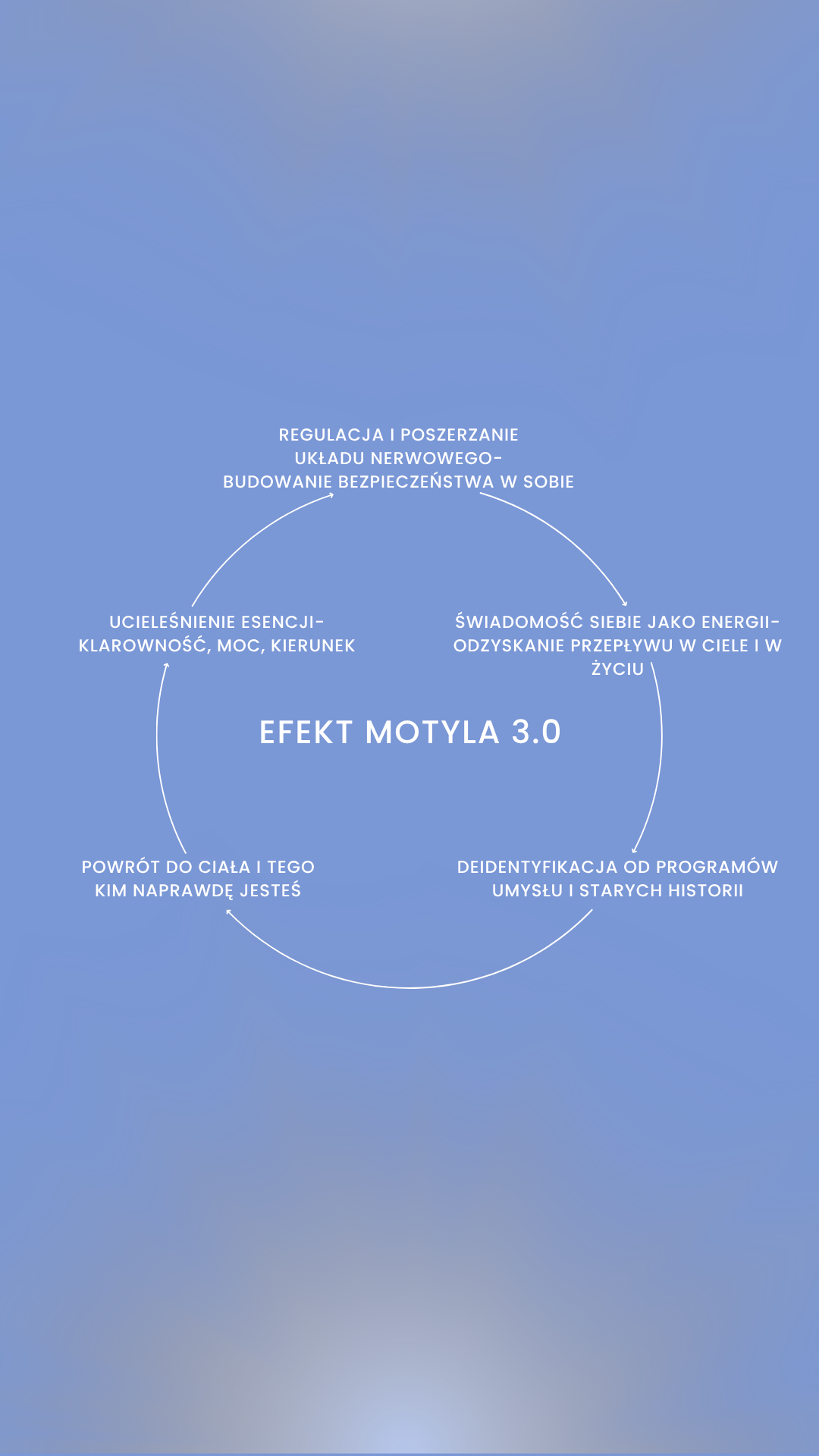 EFEKT MOTYLA- SREBRNY MOTYL - obrazek 6